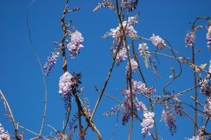 Fall 2011 to Spring 2012 040