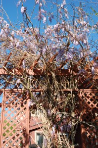 Fall 2011 to Spring 2012 041