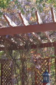 Fall 2011 to Spring 2012 049