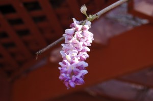 Fall 2011 to Spring 2012 050