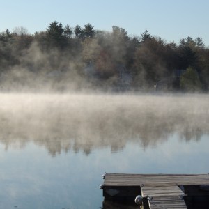 Lake Loons in the morning mist 006