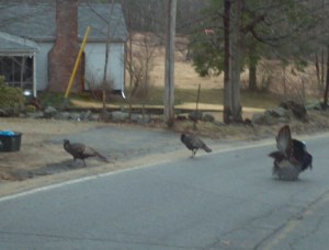 2013-04-12_07-55-17_308