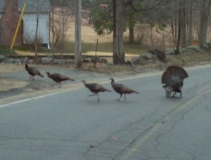 2013-04-12_07-55-20_963