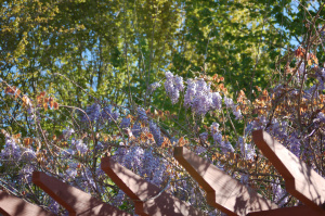 Fall 2011 to Spring 2012 048